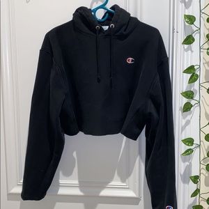 cropped champion sweatshirt size L